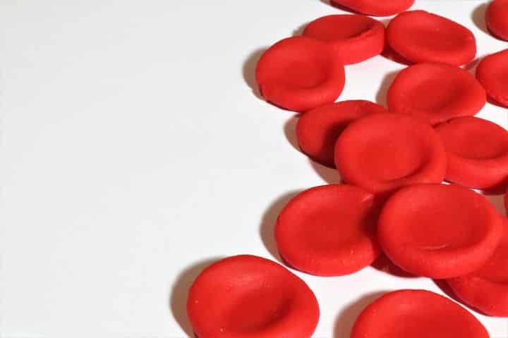 blood cells