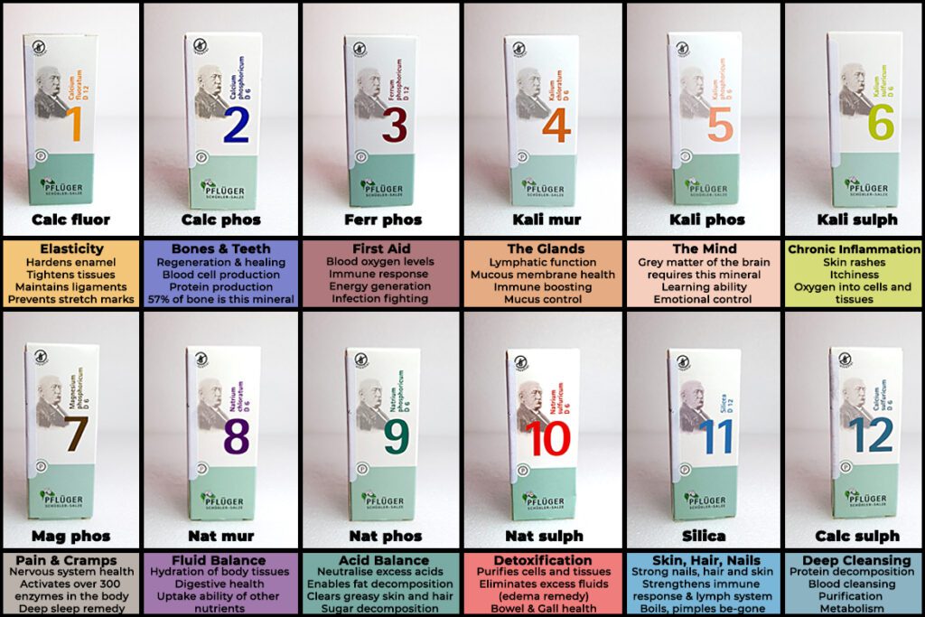 The 12 Biochemic Minerals