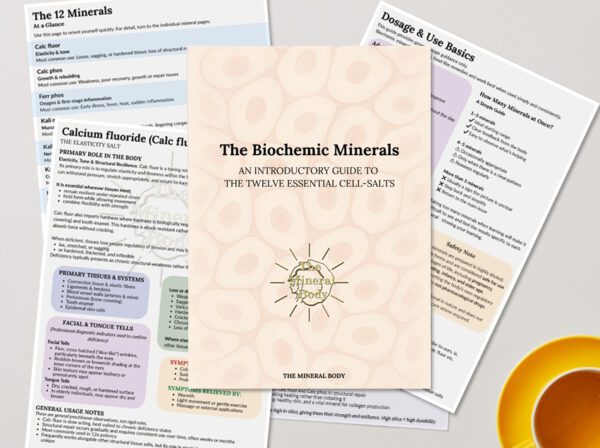 Biochemic Minerals — Start Here - The Mineral Body