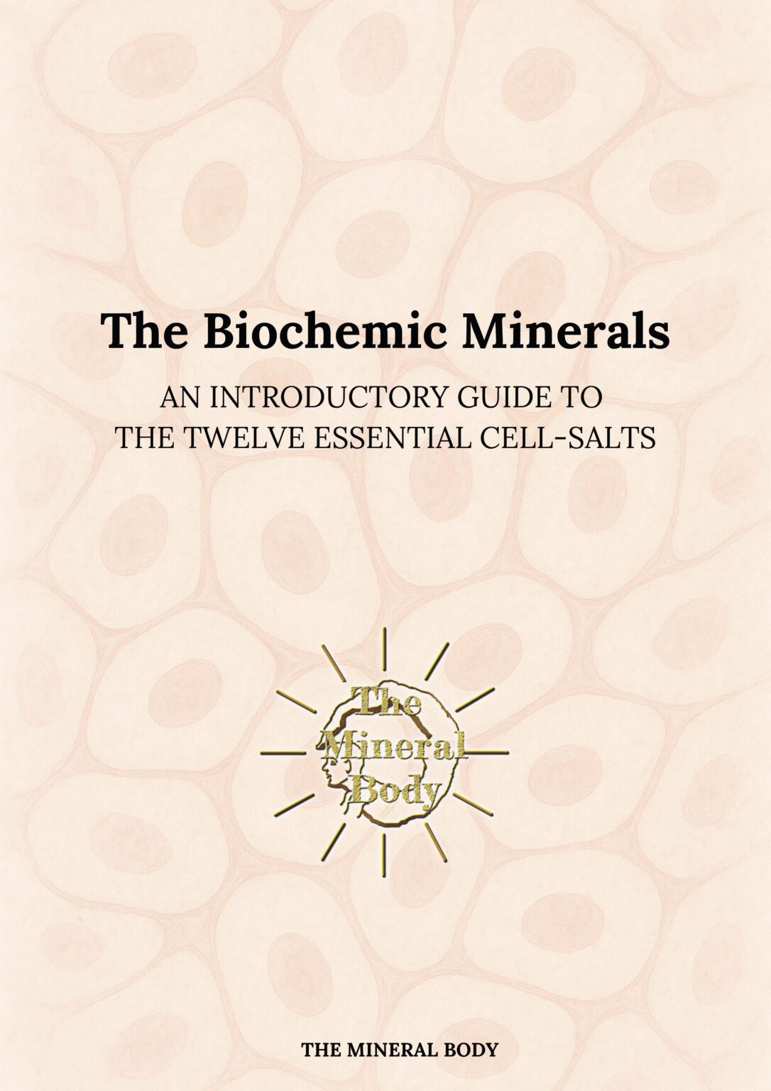 Biochemic 19 Biochemic Minerals — Start Here - The Mineral Body