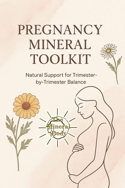 Pregnancy mineral toolkit cover Pregnancy mineral toolkit cover